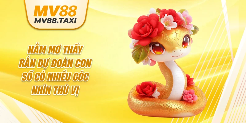 Nằm mơ thấy rắn dự đoán con số có nhiều góc nhìn thú vị